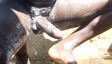 You’ll Be on Your Knees for This Whole Video, No Doubts as Cum in Your Mouth