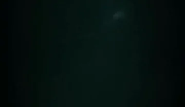 My Fast Videoxxx