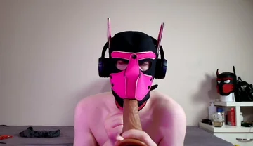 This Could Be Your Cock in Hound's Mouth