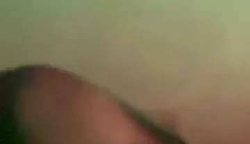 Colombian Black Vergón Destroys Passive