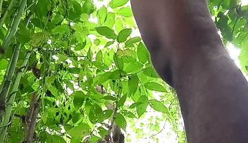 Jungle Masturbate I Need to Go Out for Horny
