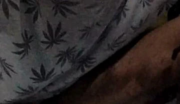 Caught Black Sexy Boy Masterbating