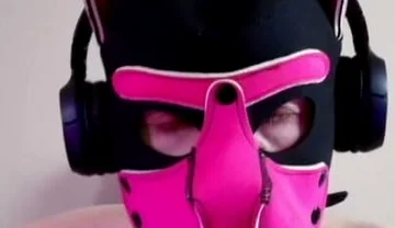 This Could Be Your Cock in Hound's Mouth