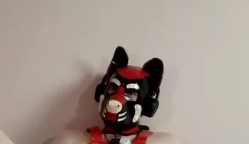 Spread Pet Paws and Plug Tease