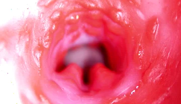 Extreme Close up of a Big Cock in a Sloppy Wet Sweet Hole!