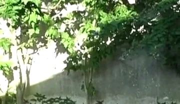 Fucked Raw in Exhib Ublic