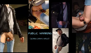 Public Wanking