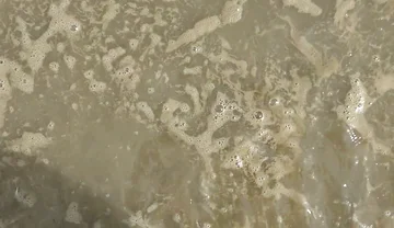 Barefoot in the September North Sea in Wangerland
