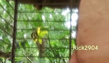 Playing with My Dick
