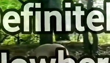 Ass on Full View in a Forest