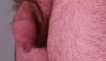 A Bear's Unkempt & Uncut Hairy Soft Cock - Long & Thick