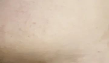 Day 13