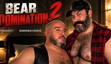 Bear Domination 2