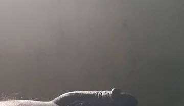 Real Amateur Solo Authentic Homemade Full HD