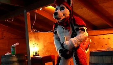 Husky Fursuiter Suspension Jerkoff