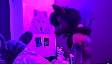 This Submissive Furry Bunny Slut Is Getting Pegged By A Furry Wolf So He Knows His Place