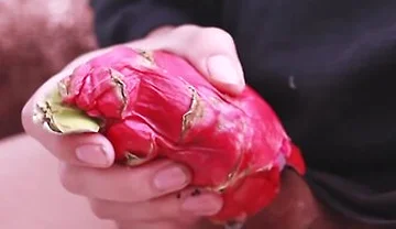 I Was So Horny I Fucked A Dragon Fruit