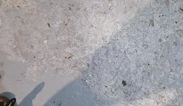 Shooting, Gushing Cumming Big Loads