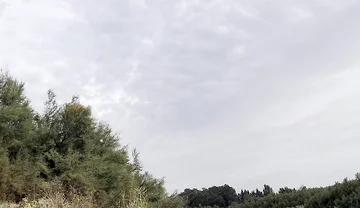 Cruising in the River