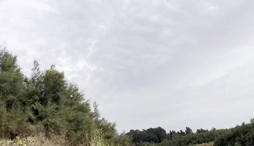 Cruising in the River