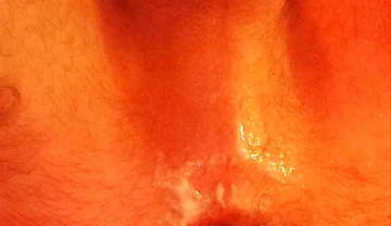 I Get Fucked by a Machine