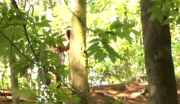 Sneaky Wank for Horny Twink