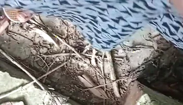 Jangal Me Mangal Bhola Sexy Boy