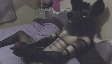 Hyena Muzzle Play