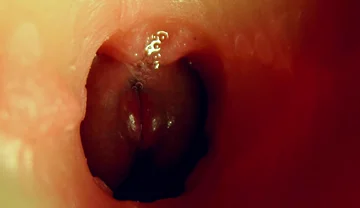 Wonderful Wet Deep Hole for Big Cock Pleasure!