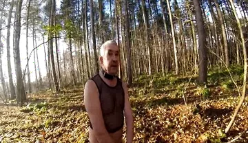 Cold Day in the Woods