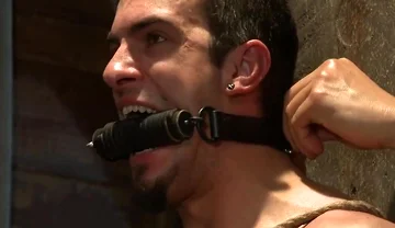 Phenix Rising - Phenix Saint And Patrick Rouge