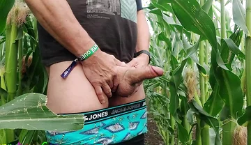 Dirty Jerking off My Big Cob in the Cornfield, Showing My Asshole and Squirting Cream on a Leaf.