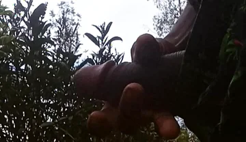 Solo Outside