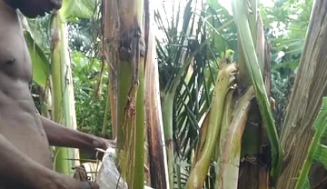 Man All Alone in the Forest and Make the Plantain Tree Is Wife and Fuck on It