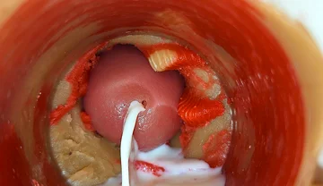 Camera Inside Captures Crempie