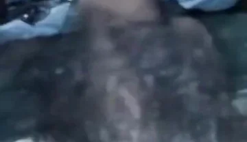 Sexy Video