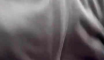 I Gave up Underwear for This.