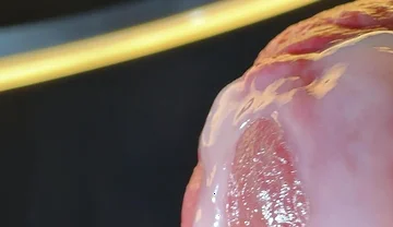 Wet Penis Gets Masturbated