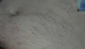 Who Lifted Daddy Bear's Dick and Emptied It?