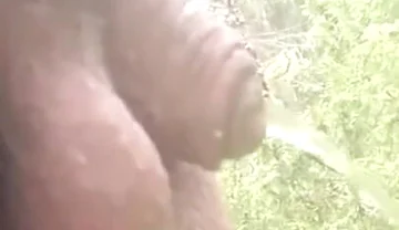 489442701863825409.mp4