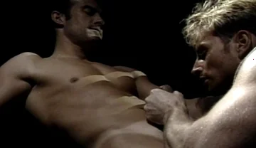 Nice Day At The Wearhouse