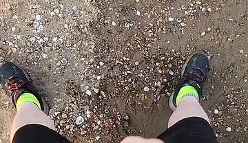 Enjoying Myself at a Very Beach.