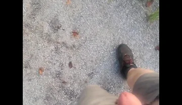 Went for a Walk at the Truck Stop