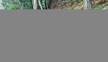 Over 1 Hour of Gay Sex Compilation