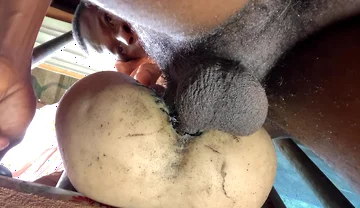 Amateur Big Ass Is Too Tight Make Me Cum Fast That I Did Not Expect