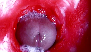 Hot Wet Sexy Hole and Sloppy Big Cock