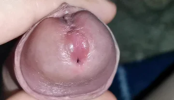 I Got Lost in the Amazon Jungle