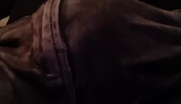 Stepfather on the Phone