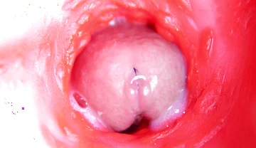 Camera Inside Anal: Almost Cum in Ass! Best Internal Asmr in 4K