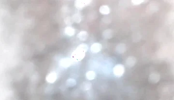 Black Breeders Adventures 02